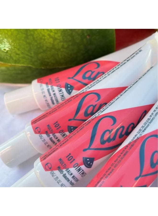 لانو ليبس مرهم لانويلبس ١٠١ بنكهة البطيخ والفواكه - Image 2