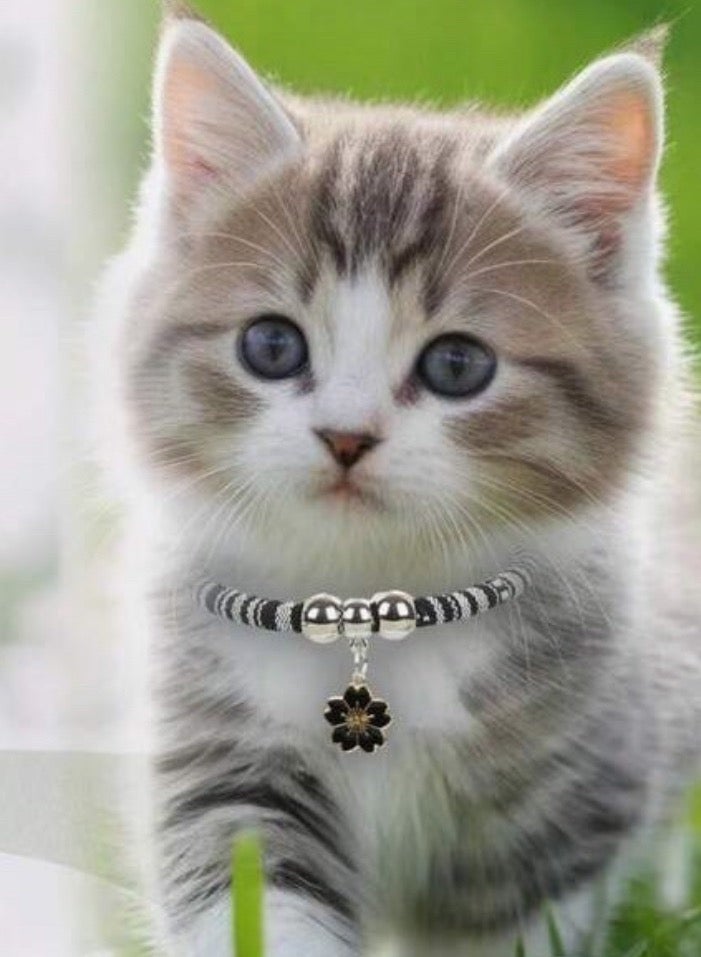 Flower Pet Necklace - Image 2