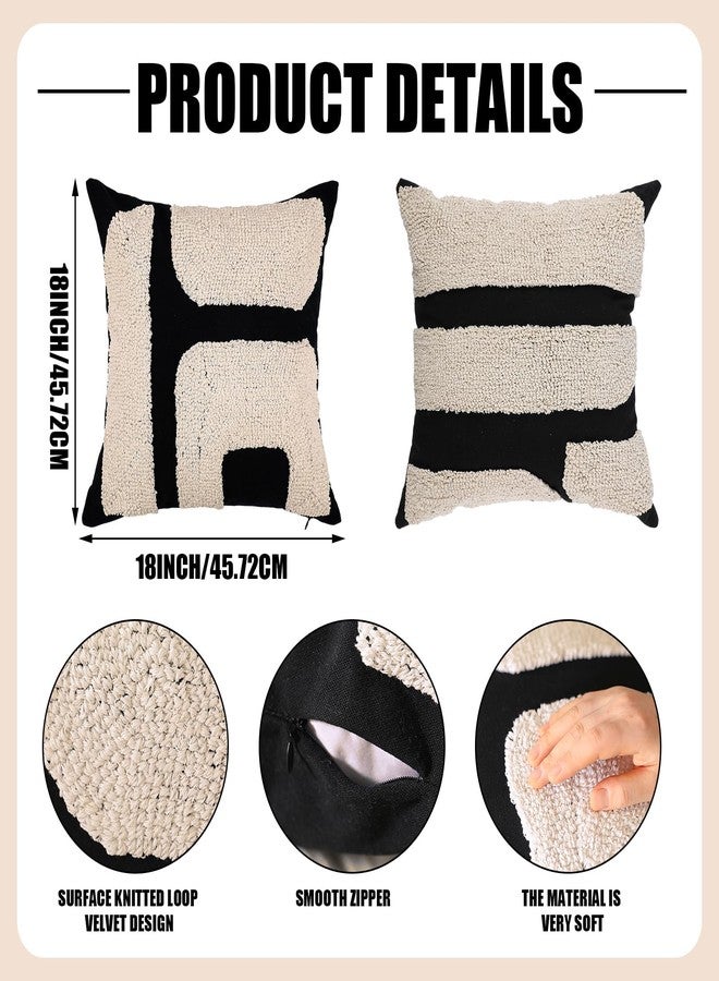 Oudain أوداين 2 قطع أغطية وسائد محشوة بتصميم بوهيمي 18 × 18 بوصة وسائد محشوة حديثة تجريدية أغطية وسائد زخرفية بأسلوب المزرعة لوسائد ذات قوام لغرفة المعيشة (أسود، أبيض، أسلوب كلاسيكي) - Image 2