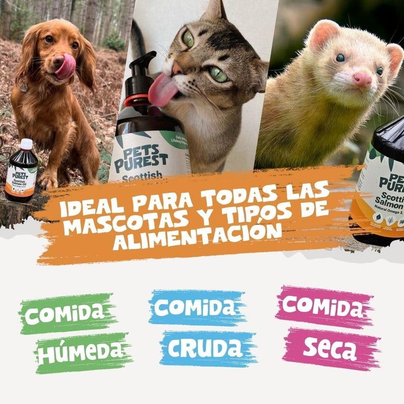 الحيوانات الأليفة أنقى زيت سمك السلمون النقي من Pets Purest للكلاب والقطط والحيوانات الأليفة، سعة 500 مل. مكمل غذائي من زيت السمك غني بأحماض أوميغا 3، 6، 9. زيت سمك السلمون طبيعي بنسبة 100%، مفيد لصحة الفرو، دعم المناعة، علاج الجلد الحكة، وصحة المفاصل والدماغ. - Image 4
