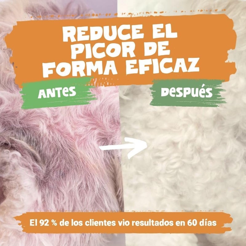 الحيوانات الأليفة أنقى زيت سمك السلمون النقي من Pets Purest للكلاب والقطط والحيوانات الأليفة، سعة 500 مل. مكمل غذائي من زيت السمك غني بأحماض أوميغا 3، 6، 9. زيت سمك السلمون طبيعي بنسبة 100%، مفيد لصحة الفرو، دعم المناعة، علاج الجلد الحكة، وصحة المفاصل والدماغ. - Image 1