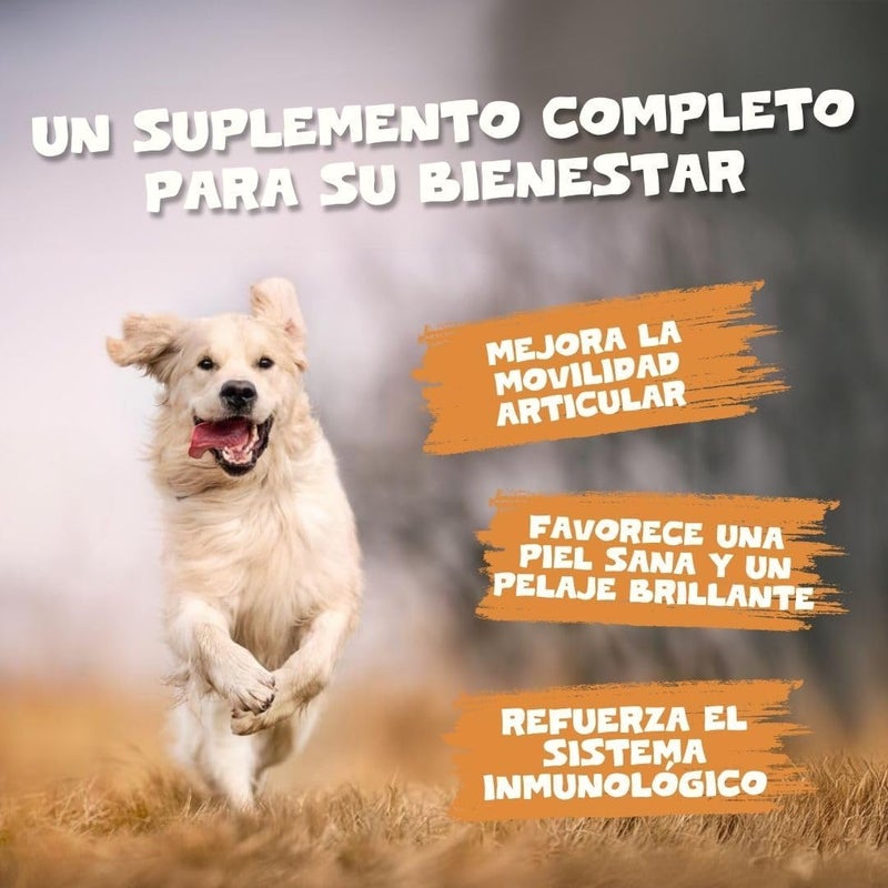 الحيوانات الأليفة أنقى زيت سمك السلمون النقي من Pets Purest للكلاب والقطط والحيوانات الأليفة، سعة 500 مل. مكمل غذائي من زيت السمك غني بأحماض أوميغا 3، 6، 9. زيت سمك السلمون طبيعي بنسبة 100%، مفيد لصحة الفرو، دعم المناعة، علاج الجلد الحكة، وصحة المفاصل والدماغ. - Image 2
