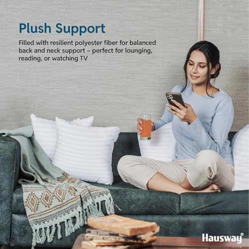 HAUSWAY Cushion for Sofa | Microfiber Square Sofa Cushion for Bed | Soft & Fluffy Pillow for Comfort and Back Support | Breathable & Washable, White Stripe Pack of 2 [16" x 16"] - Image 3