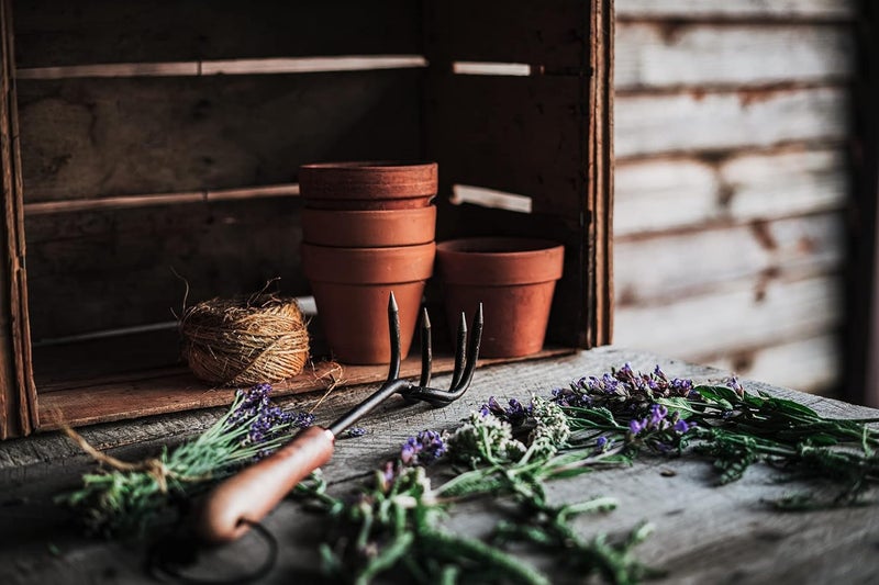 Barebones Cultivator - Weed Remover Tool - Garden Rake and Weeding Tool for Yard Work - Stainless Steel Cultivator for Raking Soil (Walnut/Black) - Image 5