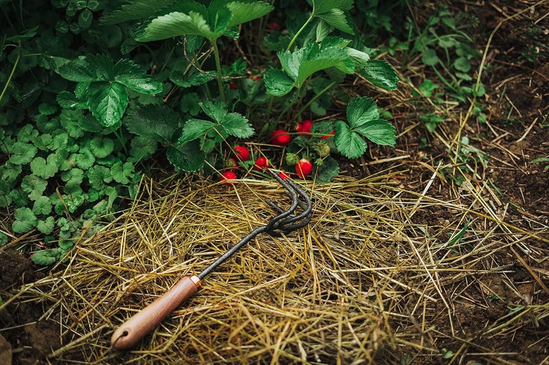 Barebones Cultivator - Weed Remover Tool - Garden Rake and Weeding Tool for Yard Work - Stainless Steel Cultivator for Raking Soil (Walnut/Black) - Image 4