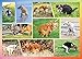 Better Me Pooping Dogs 1000Piece Puzzle for Adults  Funny Pooping Puppies Jigsaw Puzzle Gag Gift for Dog Lovers  Puppy Owners 1000 Pieces - Image 4