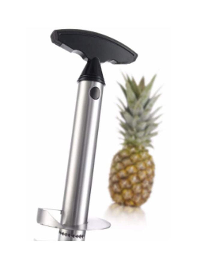 بيوينتي قشارة أناناس أسود/ فضي 24x8سم - Image 2