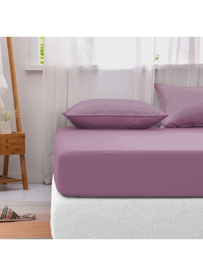 Lavish Touch Cotton Modal Fitted Sheet Mauve 1250 TC Queen (152 x 203 cms) All elastic - Image 1