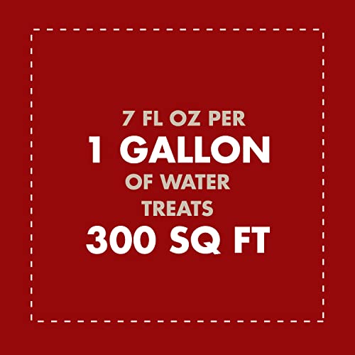 Spectracide Weed And Grass Killer Concentrate 1 Gallon, Use On Patios, Walkways And Driveways - Image 3