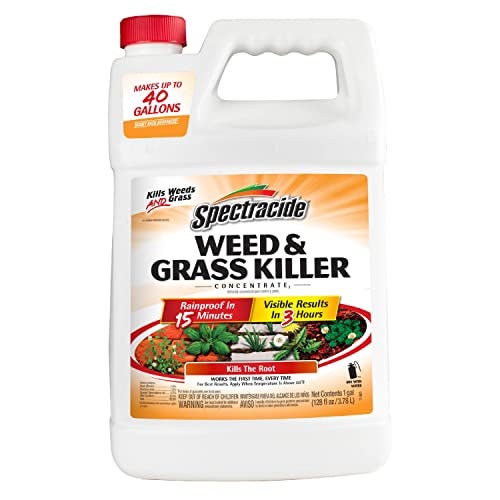 Spectracide Weed And Grass Killer Concentrate 1 Gallon, Use On Patios, Walkways And Driveways - Image 1
