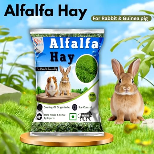 Sage Square Alfalfa Hay - Protein, Calcium-Rich Hay for Rabbits, Guinea Pigs, Hamsters & Small Animals | Supports Growth, Healthy Teeth, Digestion | Sun-Dried, Hand-Selected Alfalfa Feed | 400 gm - Image 2