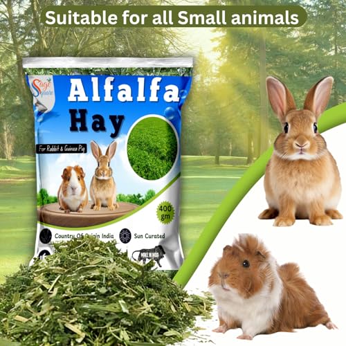 Sage Square Alfalfa Hay - Protein, Calcium-Rich Hay for Rabbits, Guinea Pigs, Hamsters & Small Animals | Supports Growth, Healthy Teeth, Digestion | Sun-Dried, Hand-Selected Alfalfa Feed | 400 gm - Image 4