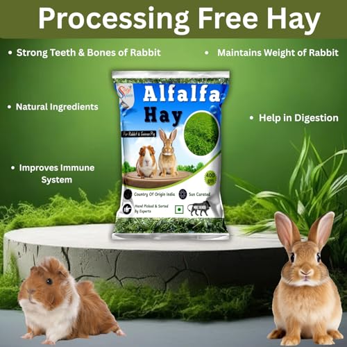 Sage Square Alfalfa Hay - Protein, Calcium-Rich Hay for Rabbits, Guinea Pigs, Hamsters & Small Animals | Supports Growth, Healthy Teeth, Digestion | Sun-Dried, Hand-Selected Alfalfa Feed | 400 gm - Image 5