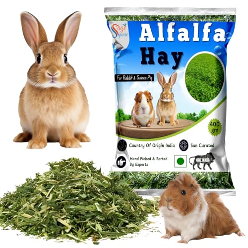 Sage Square Alfalfa Hay - Protein, Calcium-Rich Hay for Rabbits, Guinea Pigs, Hamsters & Small Animals | Supports Growth, Healthy Teeth, Digestion | Sun-Dried, Hand-Selected Alfalfa Feed | 400 gm - Image 1