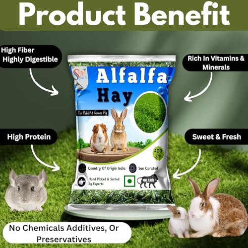 Sage Square Alfalfa Hay - Protein, Calcium-Rich Hay for Rabbits, Guinea Pigs, Hamsters & Small Animals | Supports Growth, Healthy Teeth, Digestion | Sun-Dried, Hand-Selected Alfalfa Feed | 400 gm - Image 3