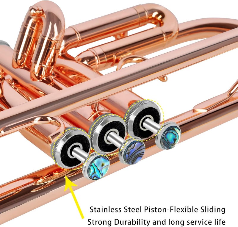 EASTROCK Standard Brass Bb Trumpet with Hard Case, Gloves, and 7C Mouthpiece for Beginners - Image 2