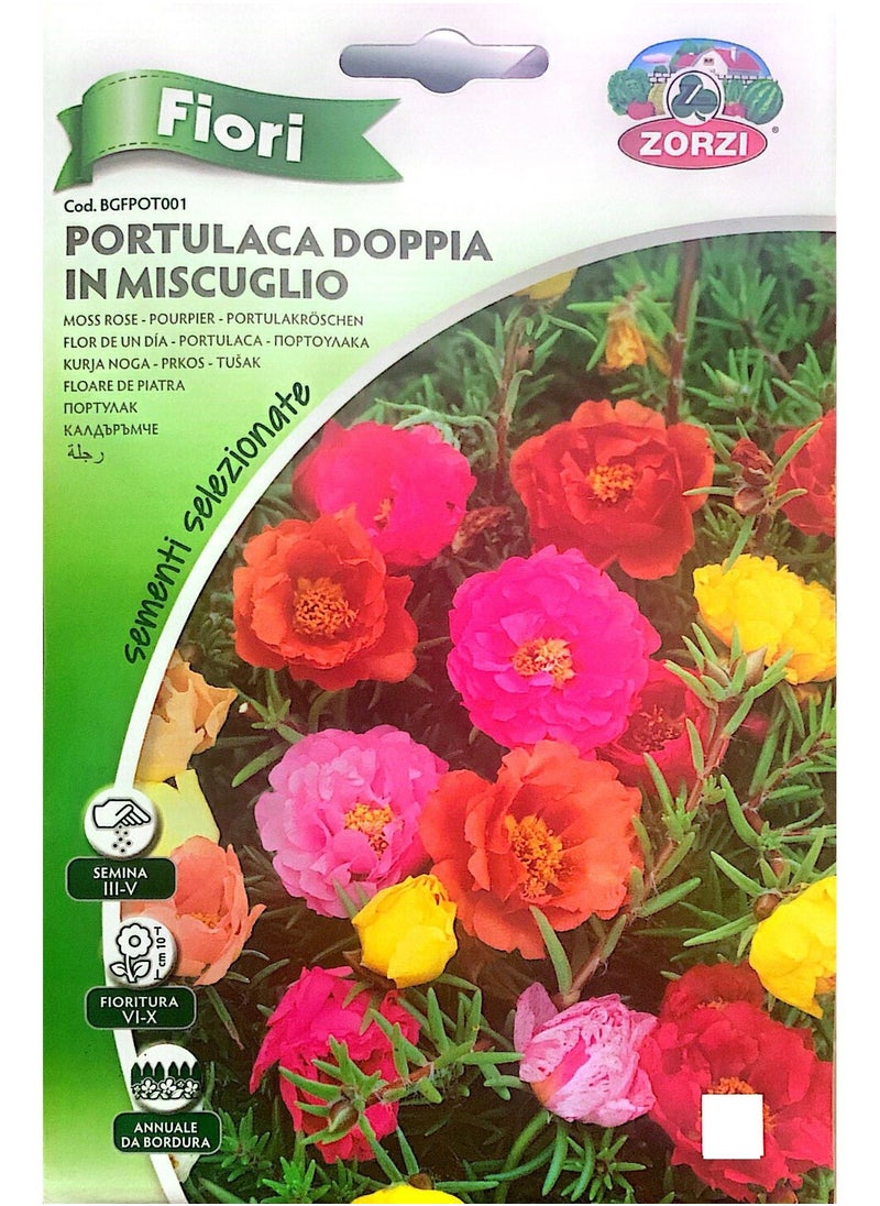 ZORZI - Purslane Seeds - Image 1