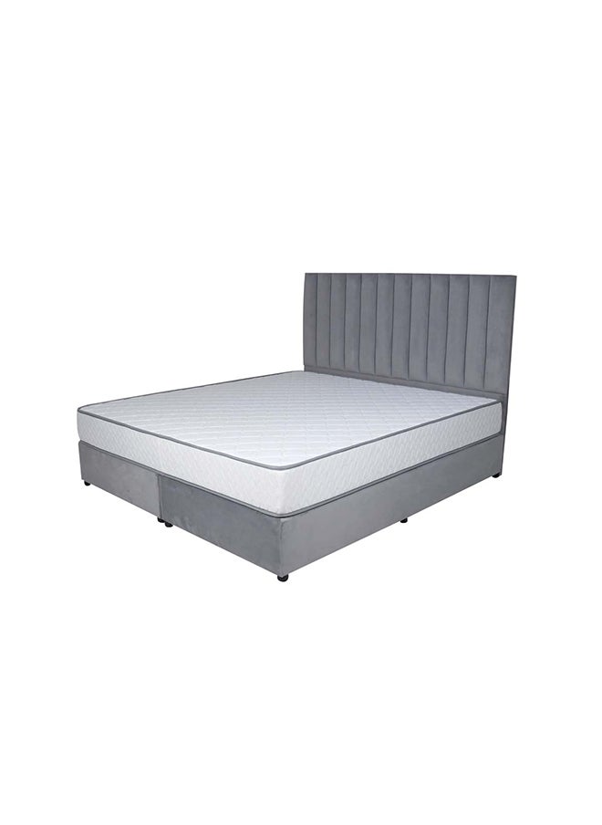 Bed and Mattress Zone Opulence Upholstered Bed 203 X 100 Single Size Grey Color, Mattress Size-200x100cm (Mattress sold separately)  - Image 2
