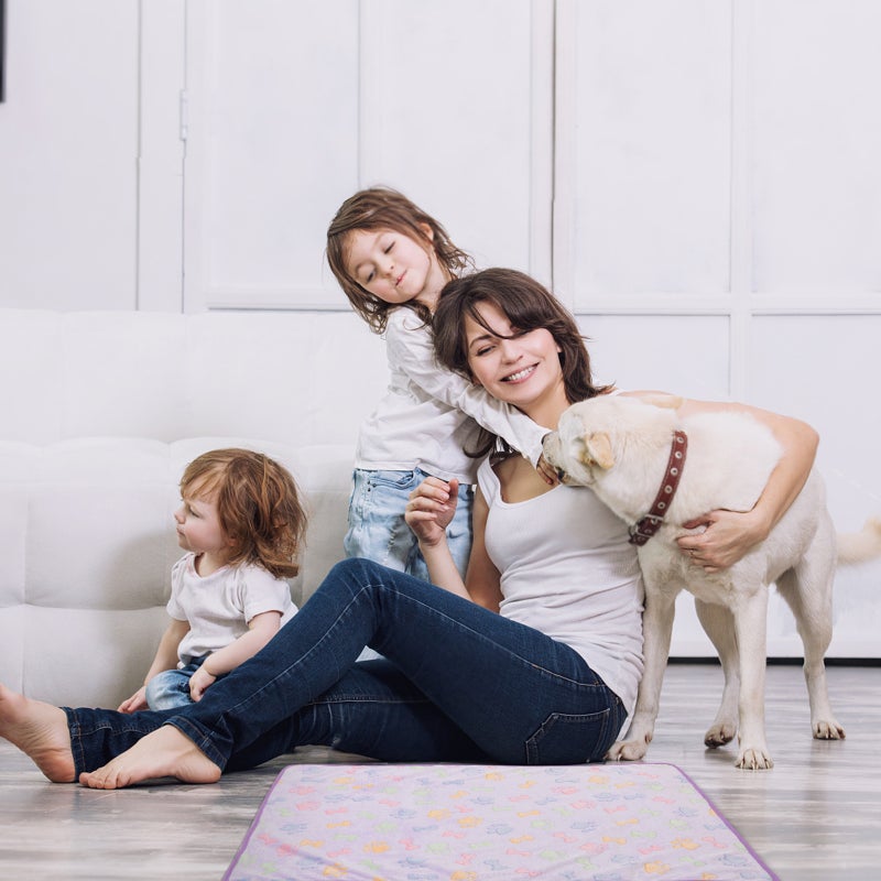 2 pcs Pet Carpet Coral Small Bone Printed Pet Dog Blanket Cushion Sleep Mat (104x76cm) - Image 3