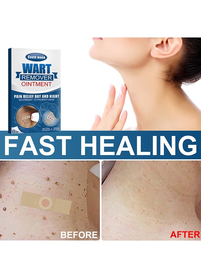 ساوث مون 12 قطعة جص إزالة الذرة القدم ، المكونات الطبيعية ، خبير العناية بالقدم ، علاج النسيج الأخمصي ، تخفيف الألم من النسيج ، الذرة ، البثور ، احتكاكات الكعب - Image 5