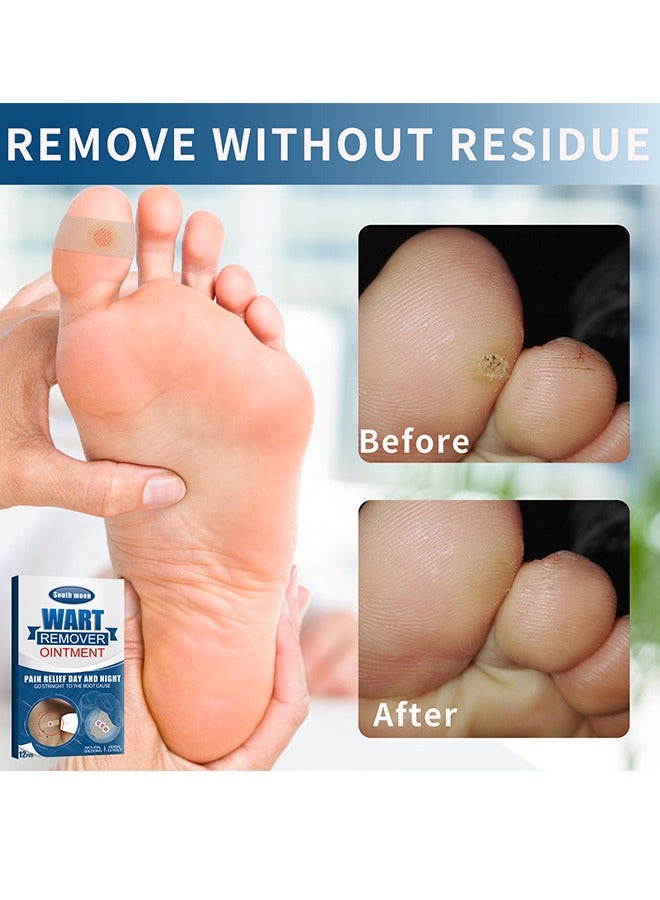 ساوث مون 12 قطعة جص إزالة الذرة القدم ، المكونات الطبيعية ، خبير العناية بالقدم ، علاج النسيج الأخمصي ، تخفيف الألم من النسيج ، الذرة ، البثور ، احتكاكات الكعب - Image 3