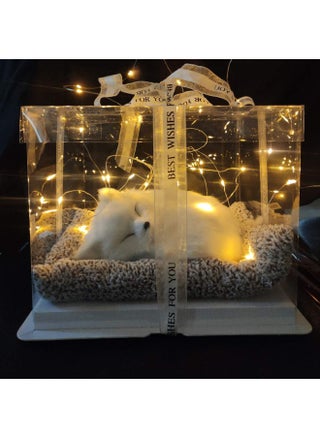 Net Red Charcoal Bag Simulation Cat Dog Fox Girl Heart Creative Use Walking Heart Valentine's Day Gift-Color:Large Bamboo Charcoal White Fox Not Called Transparent Gift Box With Lights - pzsku/ZE23590986771DF89DC39Z/45/1745417661/e29a058a-52ce-4c01-b86f-baa021d57cee