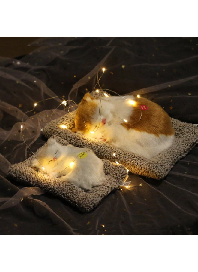 Net Red Charcoal Bag Simulation Cat Dog Fox Girl Heart Creative Use Walking Heart Valentine's Day Gift-Color:Large Bamboo Charcoal White Fox Not Called Transparent Gift Box With Lights