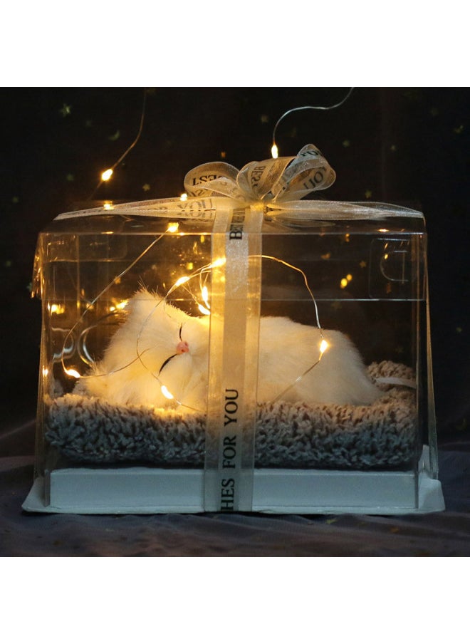 Net Red Charcoal Bag Simulation Cat Dog Fox Girl Heart Creative Use Walking Heart Valentine's Day Gift-Color:Large Bamboo Charcoal White Fox Not Called Transparent Gift Box With Lights