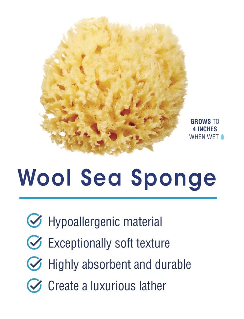 HartFelt Delicate Skin Wool Sea Sponge 4 in | Real Natural Sponges for Body and Face Gentle Care | Luxurious Lather - Image 2