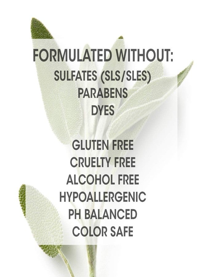 Seven شامبو SEVEN للعناية بالشعر KENTE BOND للأطراف المتقصفة + الشعر التالف، خالي من الكبريتات، خالي من القسوة مع الشاي الأخضر، غوار و برو فيتامين B5 للرجال والنساء، مصنوع في الولايات المتحدة، 2 أونصة. - Image 3