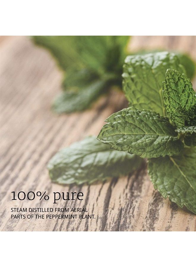 now Essential Oils, Peppermint Oil, Invigorating Aromatherapy Scent, Steam Distilled, 100% Pure, Vegan, Child Resistant Cap, 16-Ounce - Image 3