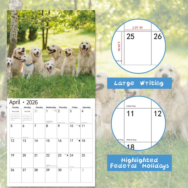 windrio 2026 Wall Calendar,Calendar 2026, November 2025 - December 2026, Wall Calendar Golden Retrievers, 12" x 24" Opened,Full Page Months Thick & Sturdy Paper for Calendar Organizing & Planning - Image 3