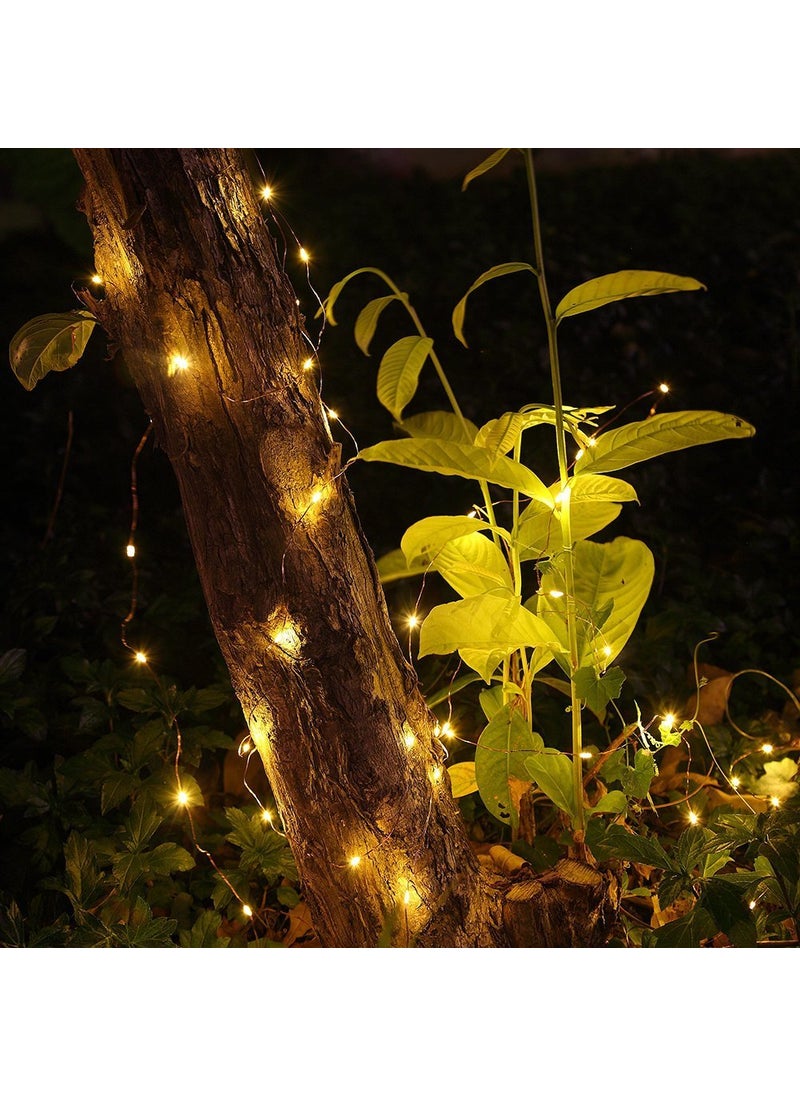 E-DAMEN - EDAMEN Led Series String Light with 50 led Bulbs Warm White 5m Flexible Copper LED Serial USB Sourced Lights with Remote Controll for Christmas Newyear Party DIY Festival DecorationPack of 1 - Image 1