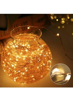 E-DAMEN EDAMEN Led Series String Light with 50 led Bulbs Warm White 5m Flexible Copper LED Serial USB Sourced Lights with Remote Controll for Christmas Newyear Party DIY Festival DecorationPack of 1  - Image 1