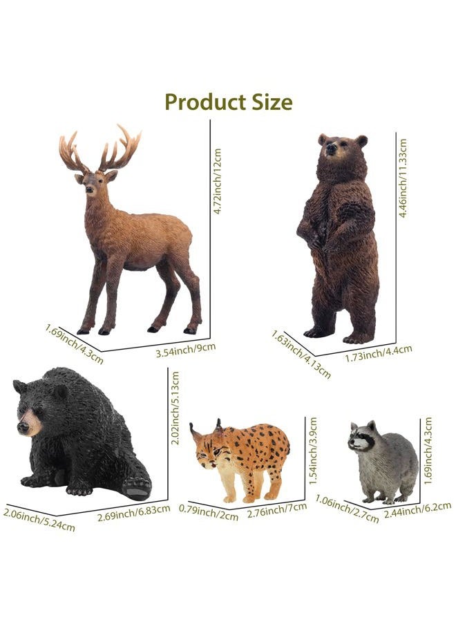 TOYMANY 12PCS North American Forest Animal Figurines, Realistic Jungle Animal Set Includes Raccoon,Lynx,Wolf,Bear,Eagle, Educational Toy Cake Toppers Christmas Birthday Gift for Kids Toddlers - Image 2