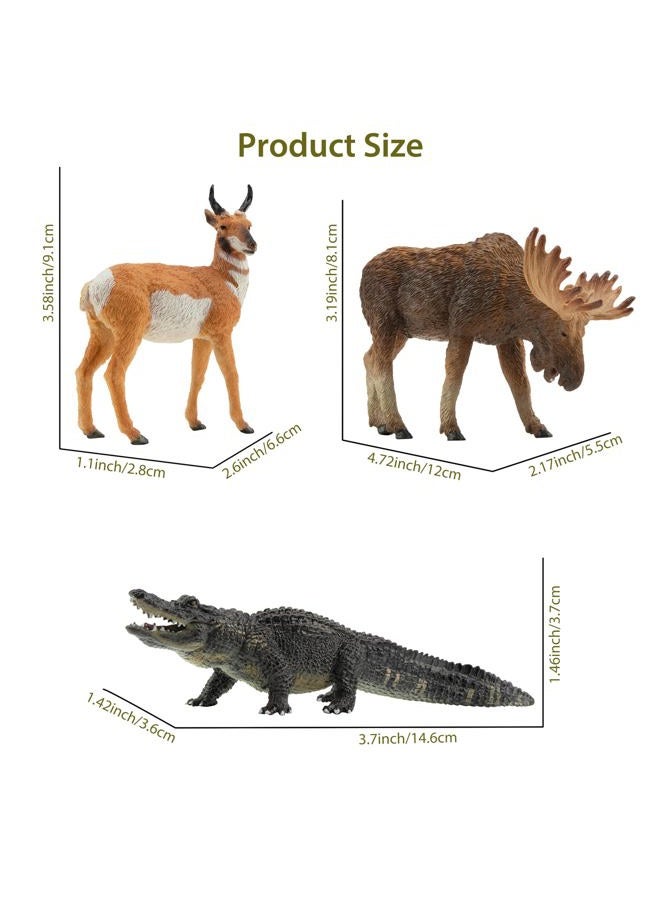 TOYMANY 12PCS North American Forest Animal Figurines, Realistic Jungle Animal Set Includes Raccoon,Lynx,Wolf,Bear,Eagle, Educational Toy Cake Toppers Christmas Birthday Gift for Kids Toddlers - Image 3