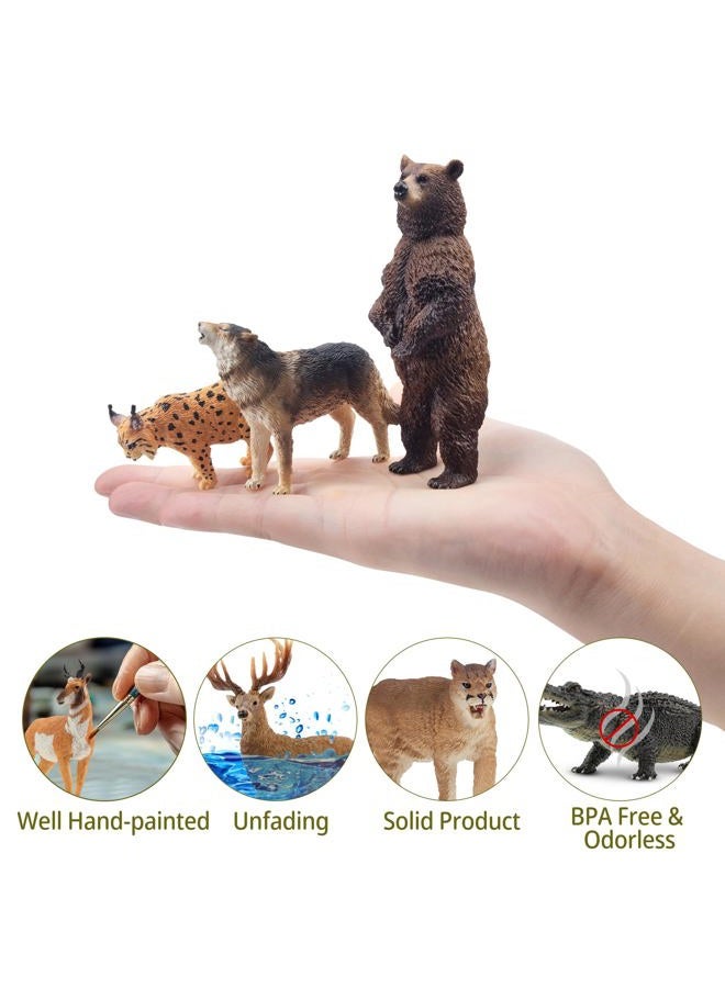 TOYMANY 12PCS North American Forest Animal Figurines, Realistic Jungle Animal Set Includes Raccoon,Lynx,Wolf,Bear,Eagle, Educational Toy Cake Toppers Christmas Birthday Gift for Kids Toddlers - Image 4