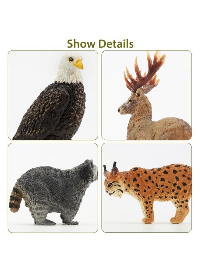 TOYMANY 12PCS North American Forest Animal Figurines, Realistic Jungle Animal Set Includes Raccoon,Lynx,Wolf,Bear,Eagle, Educational Toy Cake Toppers Christmas Birthday Gift for Kids Toddlers - Image 5
