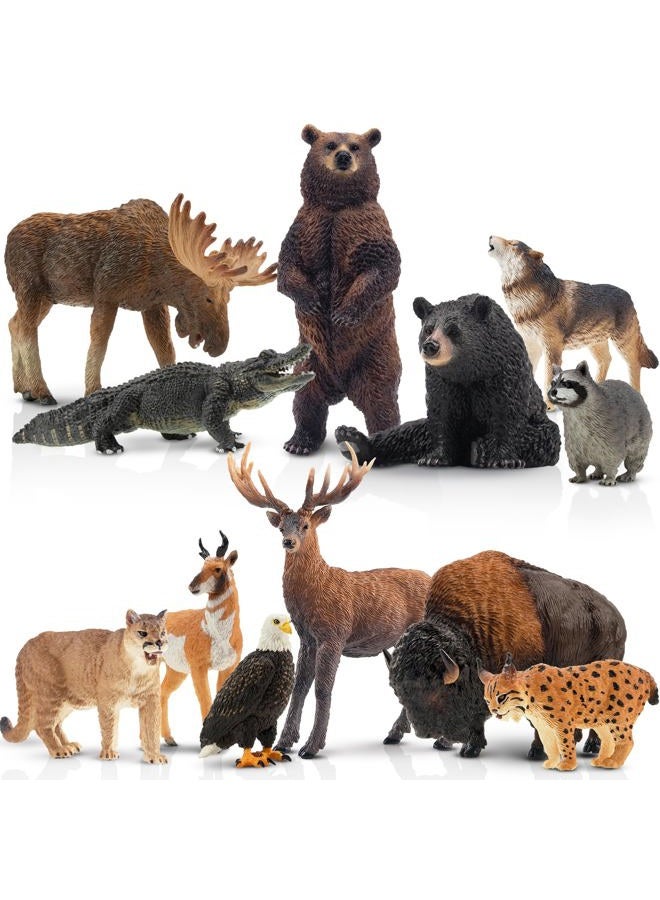 TOYMANY 12PCS North American Forest Animal Figurines, Realistic Jungle Animal Set Includes Raccoon,Lynx,Wolf,Bear,Eagle, Educational Toy Cake Toppers Christmas Birthday Gift for Kids Toddlers - Image 1
