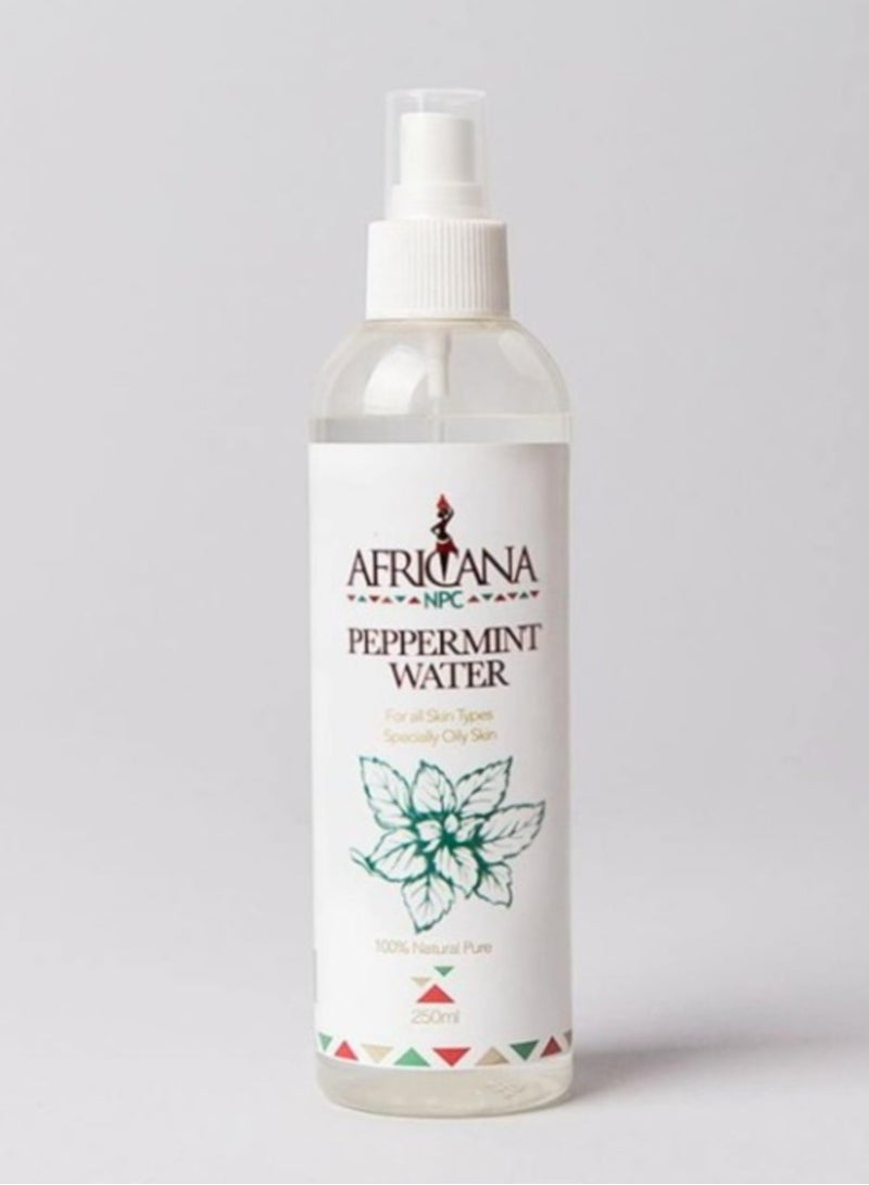 AFRICANANPC AFRICANA PEPPER MINT WATER NPC 250ML - Image 1