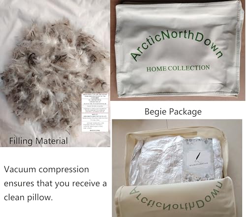 ArcticNorthDown Queen Size Goose Down Feather Hotel Collection Bed Pillows for Sleeping One Pillow for Back, Stomach or Side Sleepers Stripe White Color - Image 2