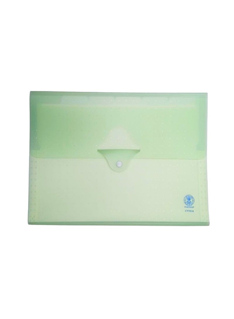 Sadaf Expanding File Accordion Folders Portable Document Holder A4 File Organizer - Image 1