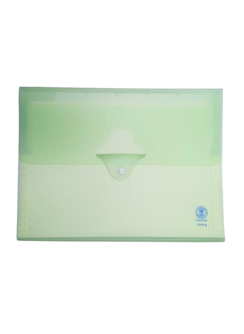 Sadaf Expanding File Accordion Folders Portable Document Holder A4 File Organizer - Image 2