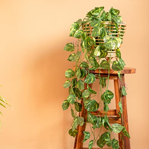BS AMOR Artificial Creeper Money Plant Leaf Garland | Wall Hanging | Speacial Ocassion Decoration | Home Decor Party | Office Festival Theme Decorative Length 6 Feet Pack Strings(12) - Image 1
