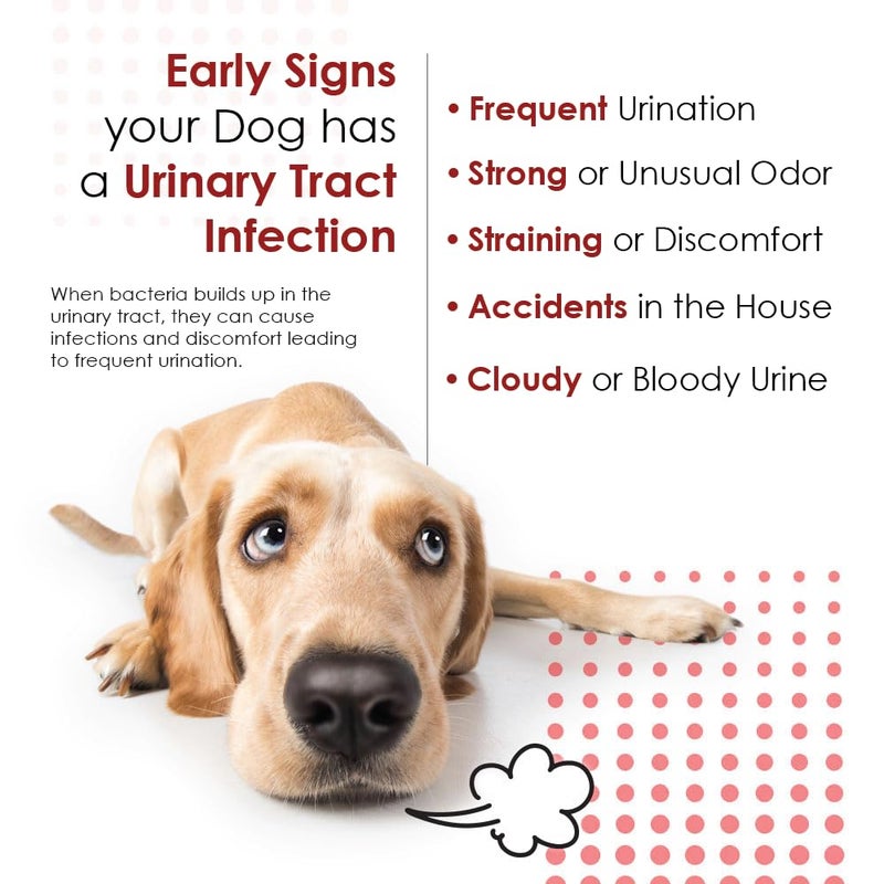 Pet Health Solutions Cranberry D-Mannose Urinary Tract Supplement for Dogs & Cats â€“ Bladder & UTI Health Support â€“ Cranberry Extract, D-Mannose & Vitamin Câ€“Promotes Urinary Wellness & Kidney Function â€“ 60 Chewable Tablets - Image 3
