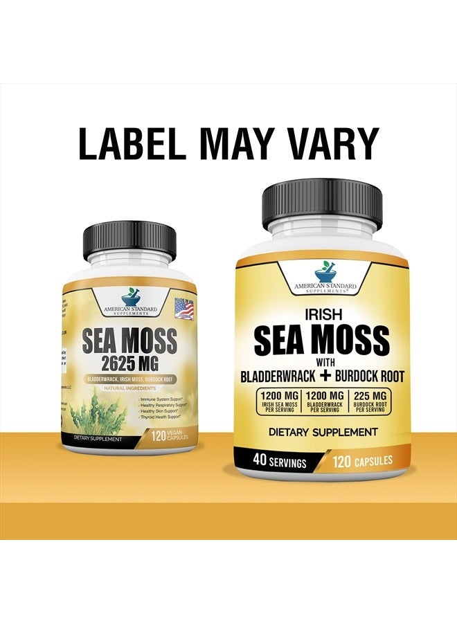 American Standard Supplements طحالب البحر الأيرلندية 1200 ملغ، بلادرواك 1200 ملغ وجذر الأرقطيون 225 ملغ لكل حصة - نباتي، خالي من الغلوتين، غير معدل وراثيًا، 120 كبسولة، 40 حصة - Image 2