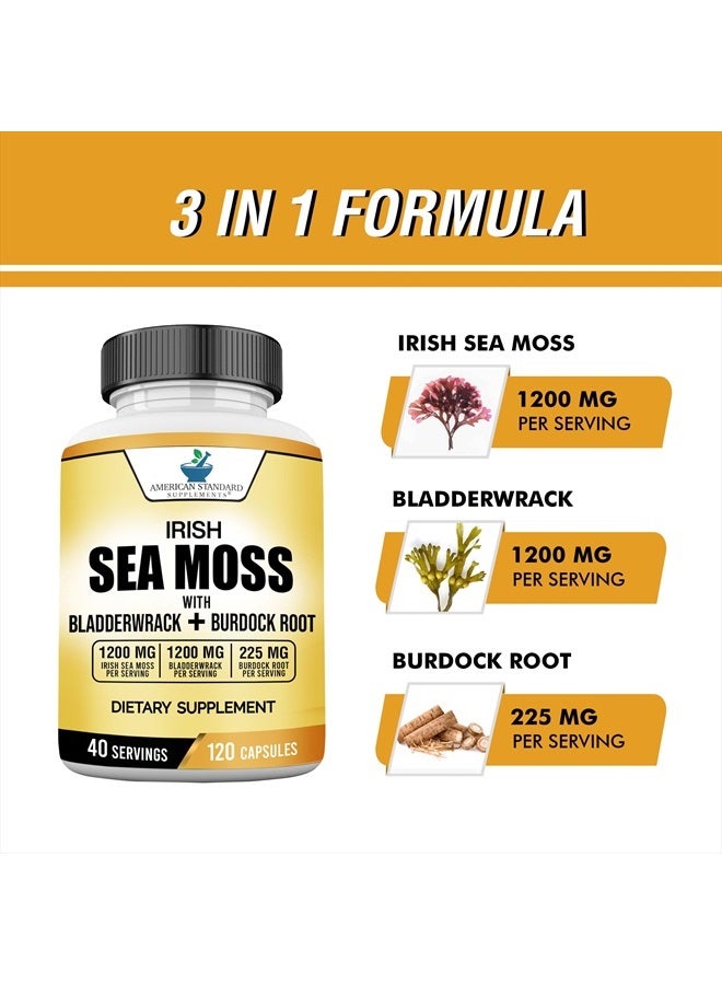 American Standard Supplements طحالب البحر الأيرلندية 1200 ملغ، بلادرواك 1200 ملغ وجذر الأرقطيون 225 ملغ لكل حصة - نباتي، خالي من الغلوتين، غير معدل وراثيًا، 120 كبسولة، 40 حصة - Image 4
