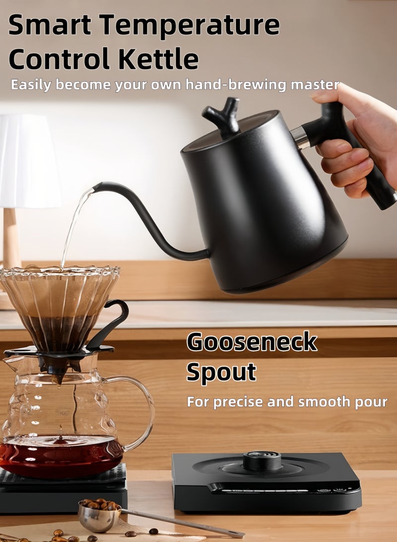 نيهاو الغلاية متعددة الوظائف برقبة إوزة V60، غلاية كهربائية، وعاء قهوة ووعاء شاي، سعة 1000 مل، قدرة 1000 وات مع مقبض لضبط درجة الحرارة وحرارة تلقائية، مصنوعة من الفولاذ المقاوم للصدأ 304، مناسبة للاستخدام في المنزل والمكتب - أسود - Image 3