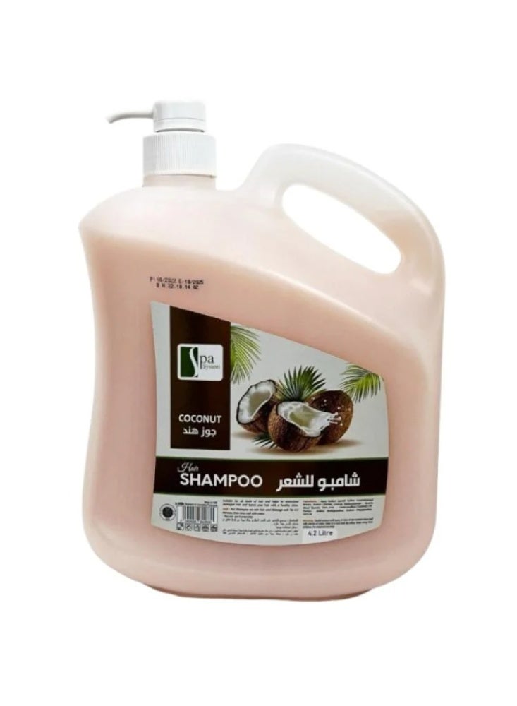 Spa System Coconut Hair Shampoo, 4.2 L