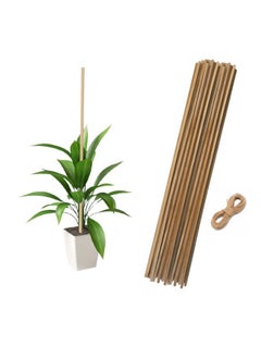 EXALT® 3 feet Premium Natural Teak Wood Plant Support Sticks - Garden Sticks for Straightening Training and Supporting Plants - Strong and Durable Solution for Healthy Growth (12 pcs)